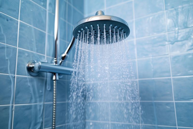 Shower Head Replacement detail